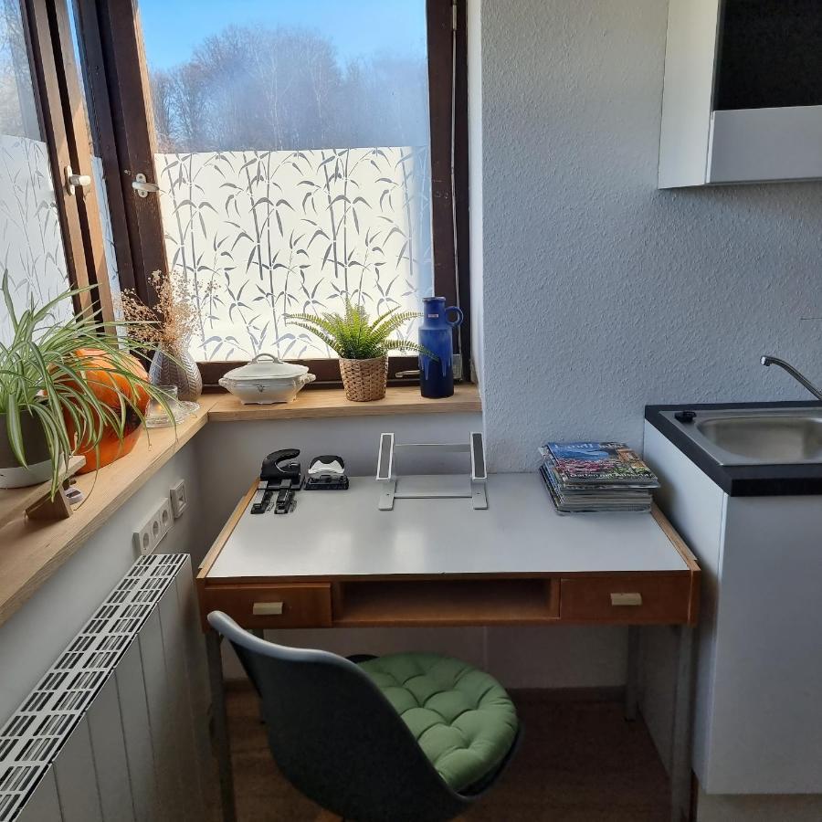 Exklusive Ferienwohnung Hattorfer Teiche Wolfsburg Exterior foto