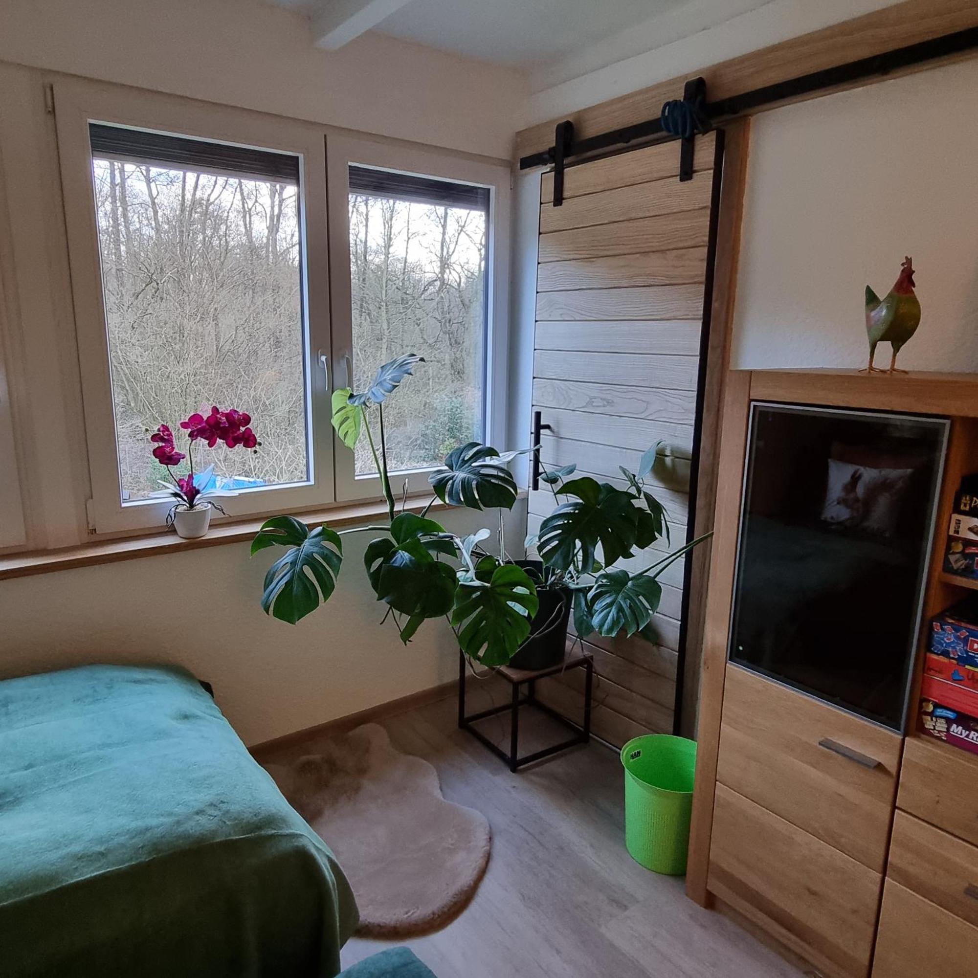 Exklusive Ferienwohnung Hattorfer Teiche Wolfsburg Zimmer foto